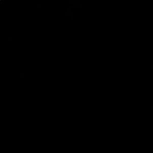 Meet your Posher, Lissy